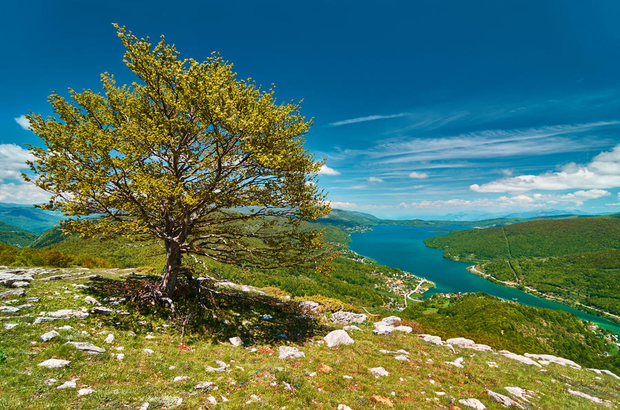 ECMVU-Macedonië-Mavrovo lake-shutterstock_441292645