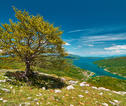 ECMVU-Macedonië-Mavrovo lake-shutterstock_441292645