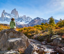 Patagonië bos en berg