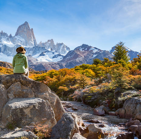 Patagonië bos en berg