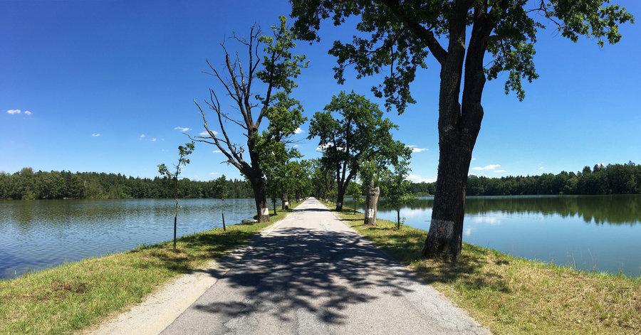fietspad in de natuur