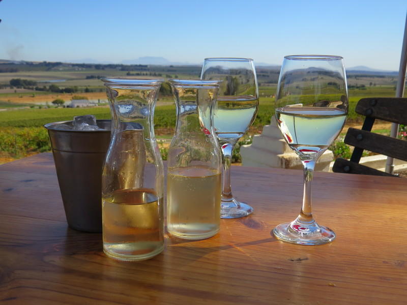 Rondreis Zuid-Afrika