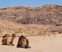 Rondreis Jordanië Petra