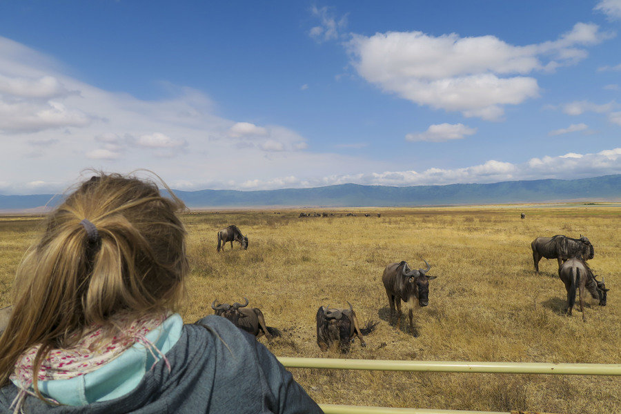 Ngorongoro krater