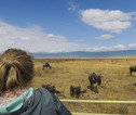Ngorongoro krater