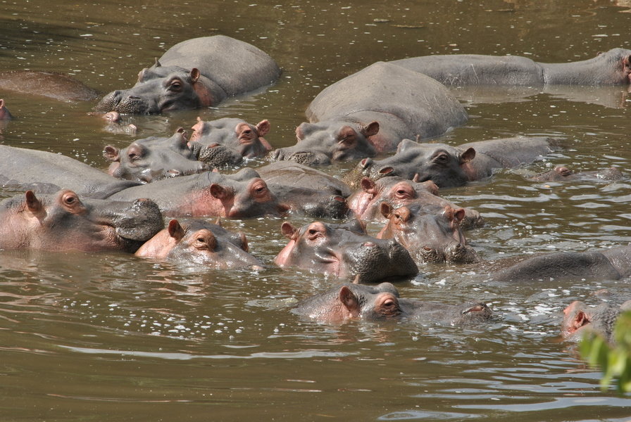 Familiereis Tanzania