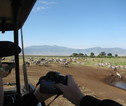 Serengeti NP