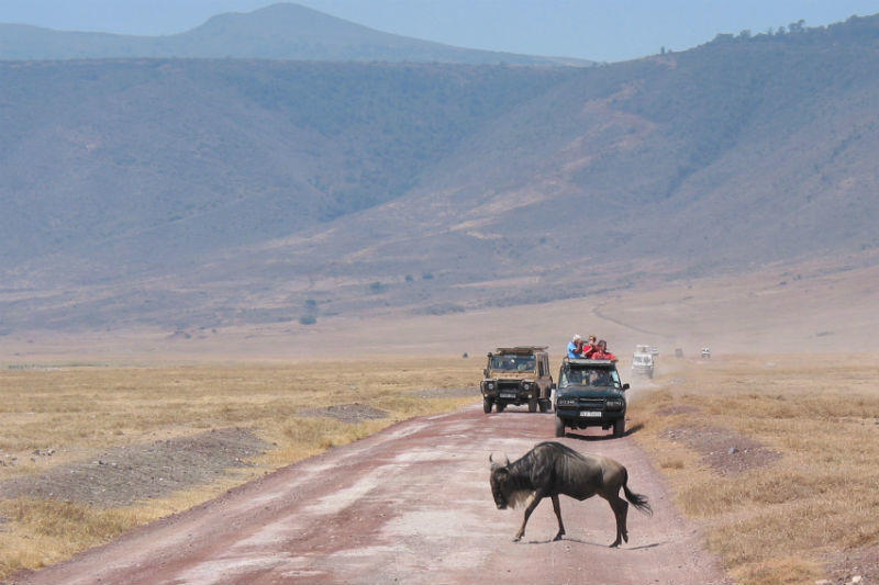 Rondreis Kenia en Tanzania