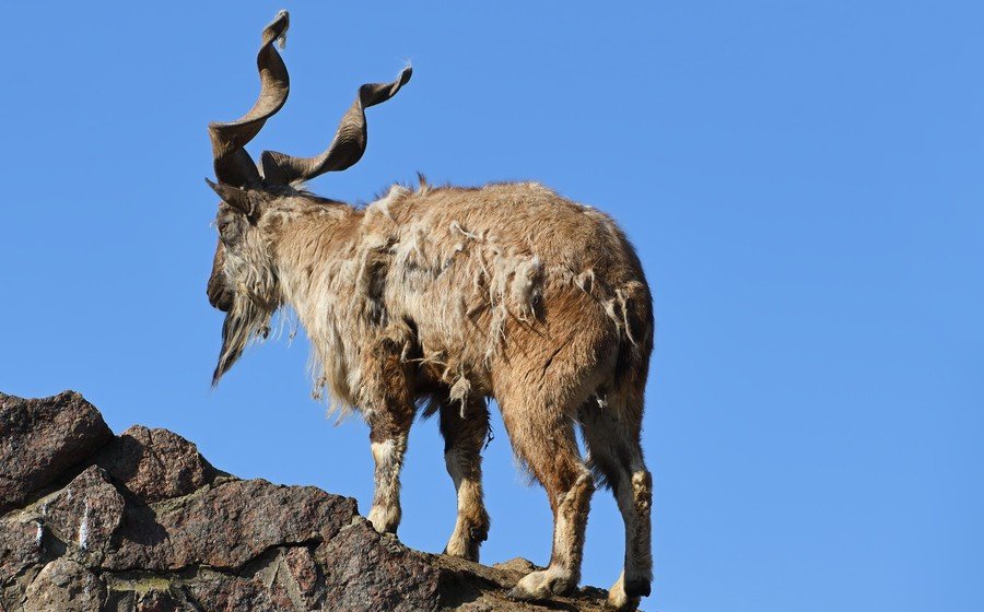 Groepsrondreis Pakistan - Baltistan & Hunza