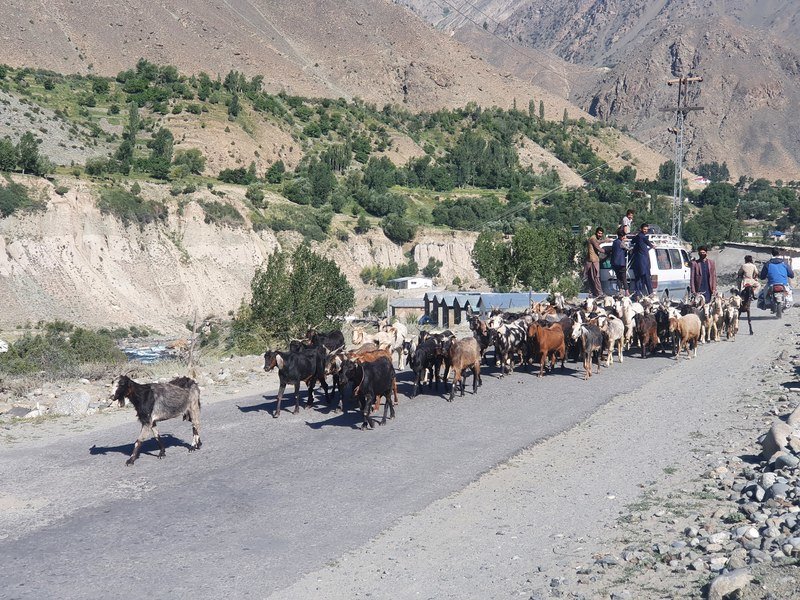 Groepsrondreis Pakistan - Baltistan & Hunza