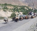Groepsrondreis Pakistan - Baltistan & Hunza