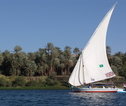 Felucca