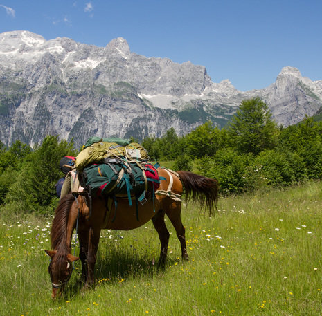 Valbona pass