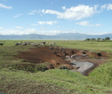 Ngorongoro krater