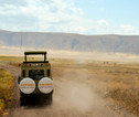 Ngorongoro krater