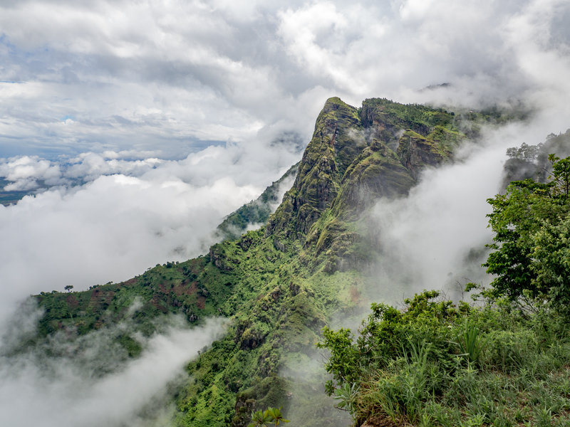 Usambara