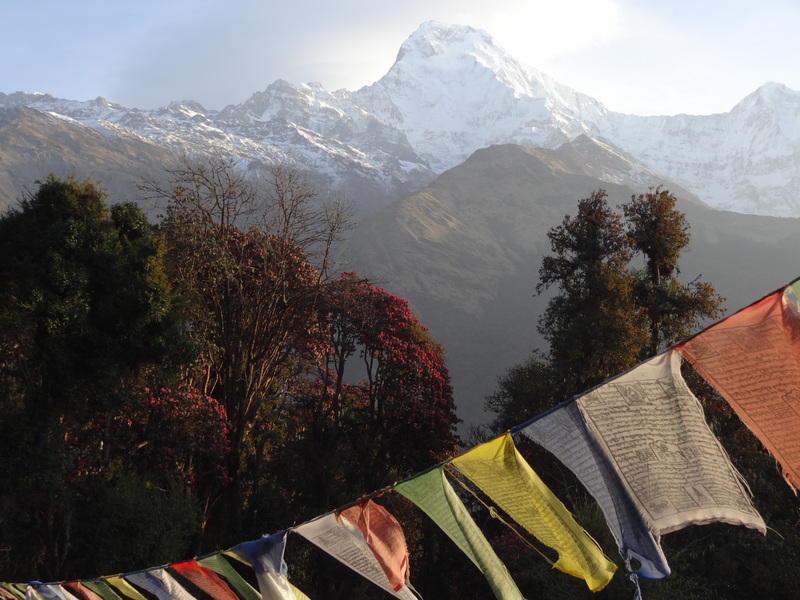 Rondreis Nepal Zonsopkomst Poon hill