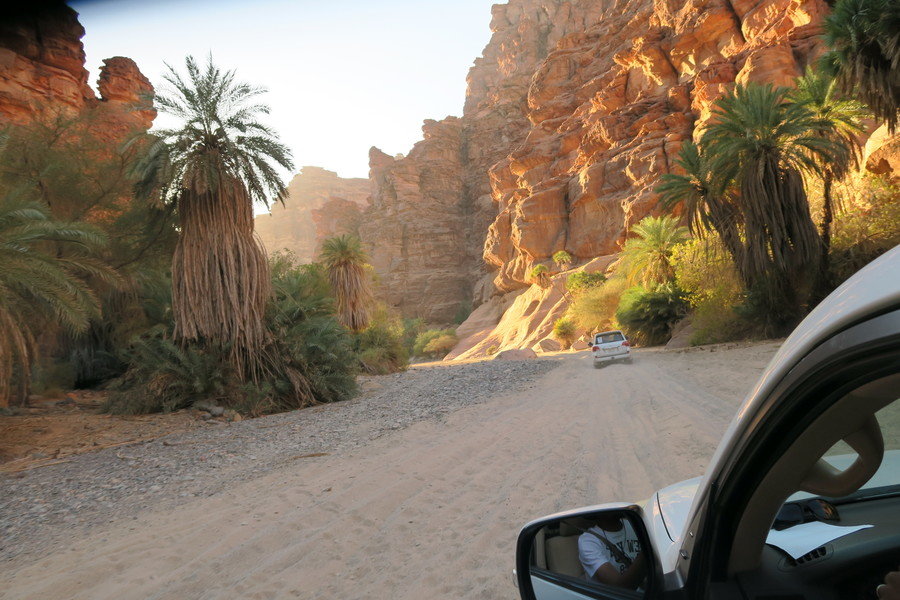 Groepsrondreis Saoedi-Arabië