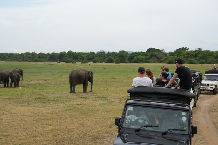 olifanten JRSLA tour