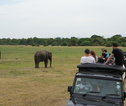 olifanten JRSLA tour