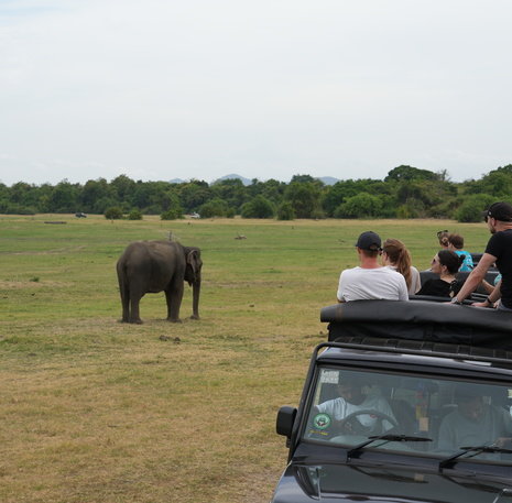 olifanten JRSLA tour