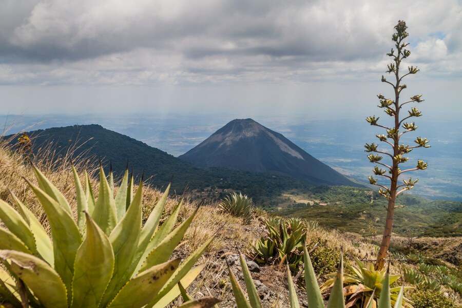 Cerro Verde NP