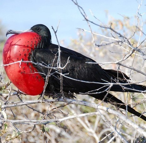 Ecuador