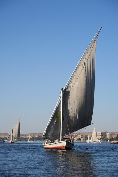 Felucca