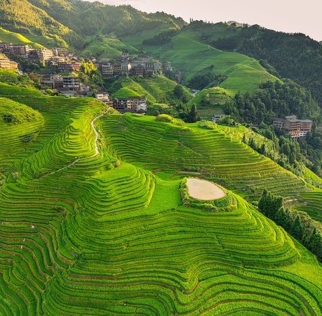 Longji rijstvelden