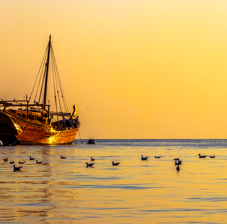 Dhow Boot 