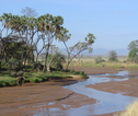 Samburu