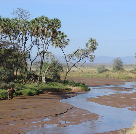 Samburu