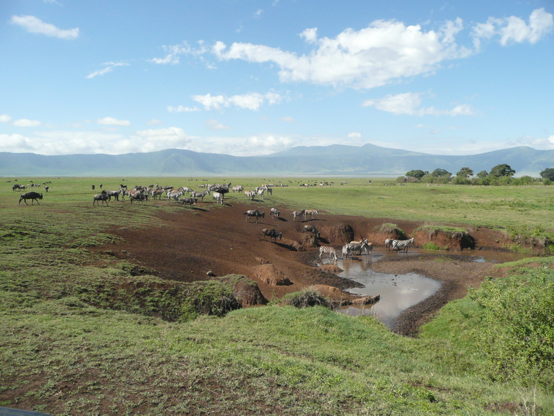 Ngorongoro krater