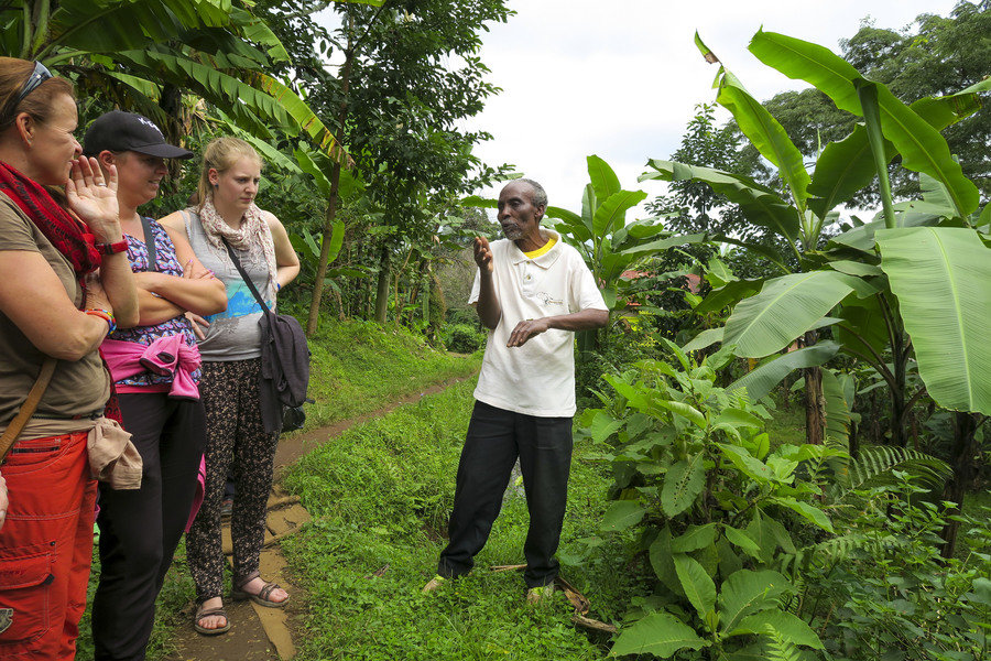 Mto_wa_mbo_koffieplantage