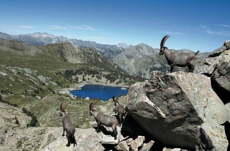 Frankrijk, Mercantour - Vésubie
