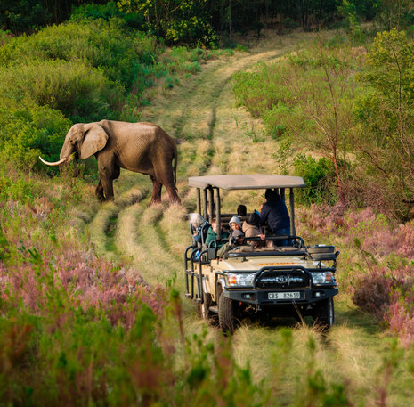 Familie jeepsafarii