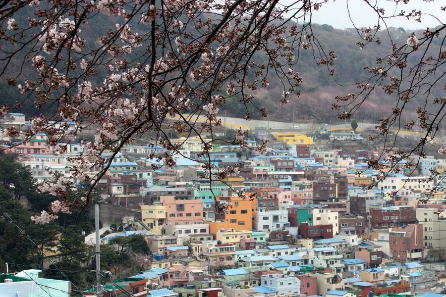 Busan- Gamcheon