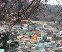 Busan- Gamcheon