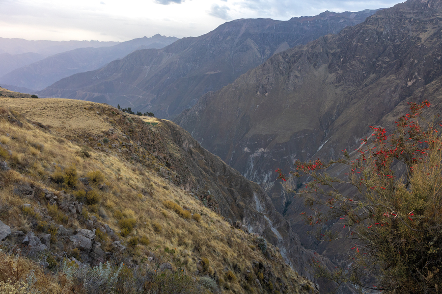 Groepsreis Peru Colca Canyon 