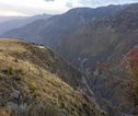 Groepsreis Peru Colca Canyon 