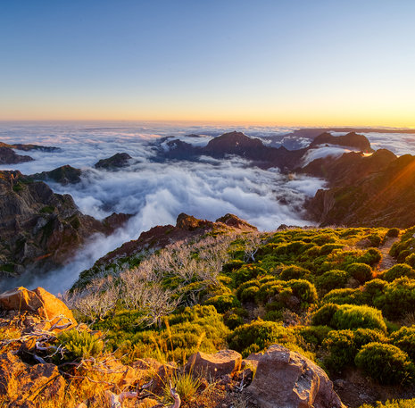 Madeira sunrise