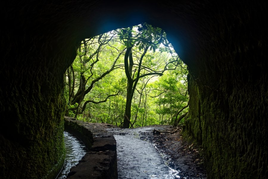 Madeira hike