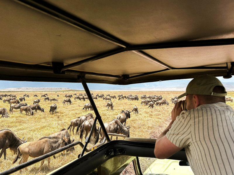 Foto maken vanuit jeep