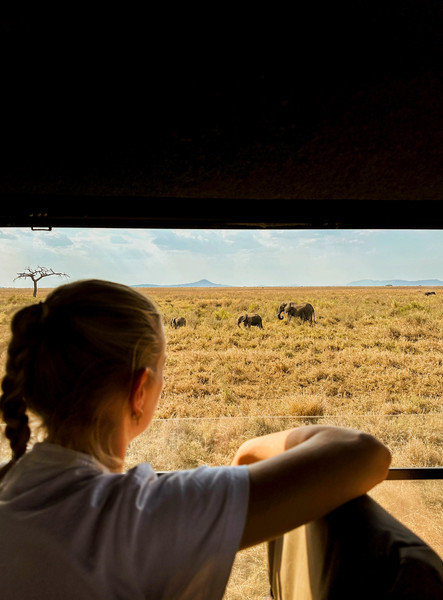 Olifant vanuit jeep