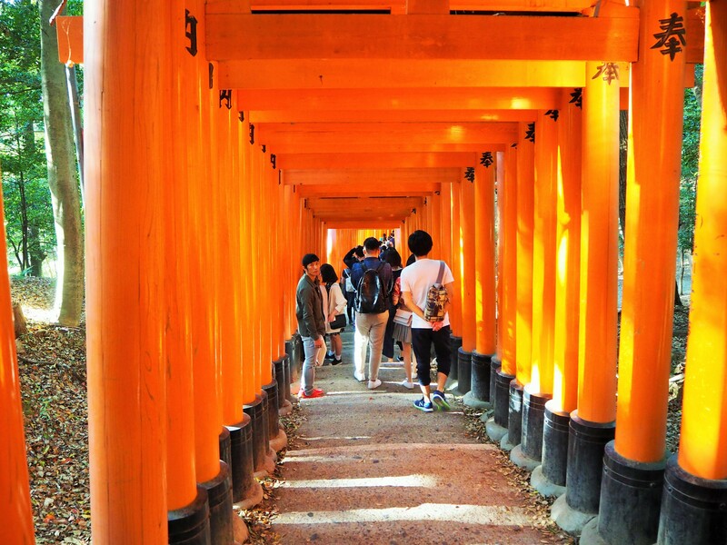 Fushimi Inari 