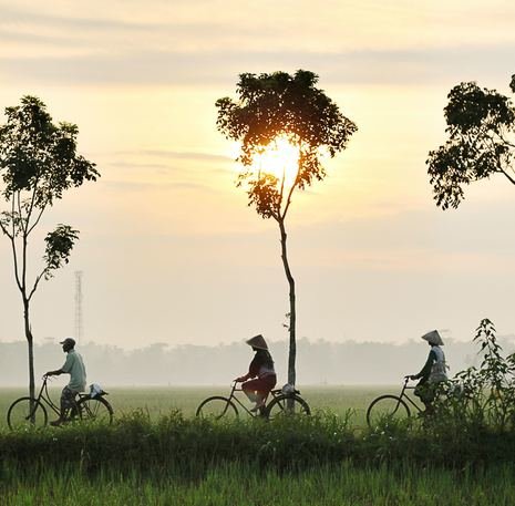 Fietsreis Vietnam