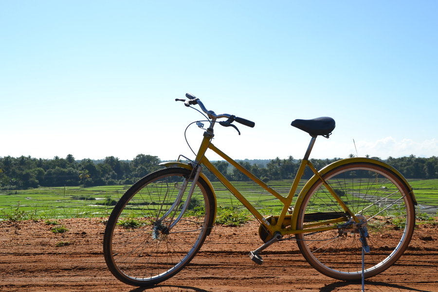 Fiets Sri Lanka Polonnaruwa