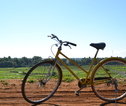 Fiets Sri Lanka Polonnaruwa