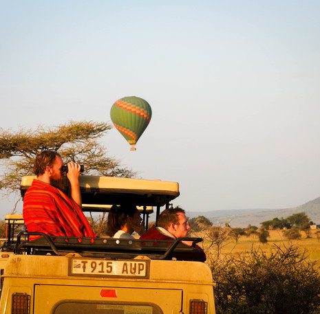 Uitzicht Safari
