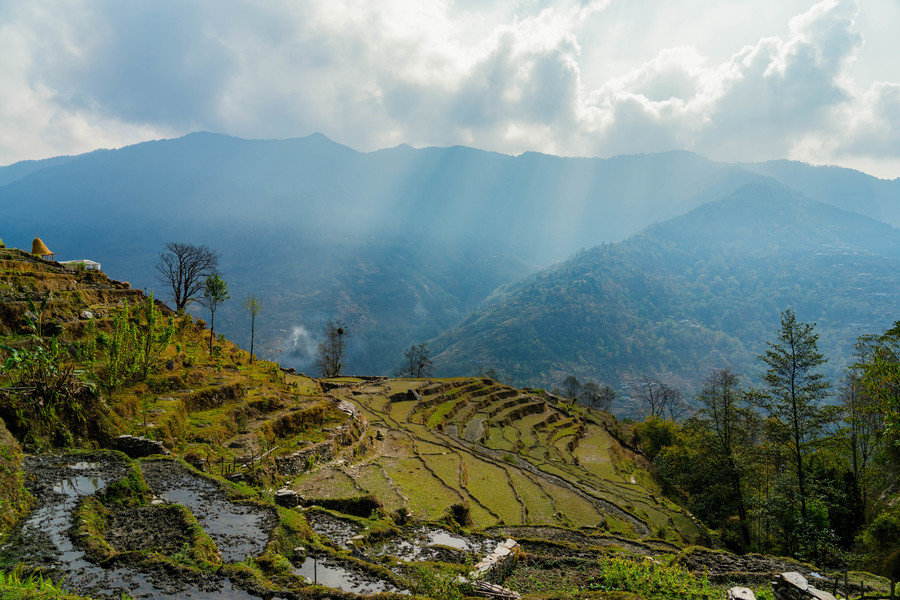 Foto uitzicht rijstvelden